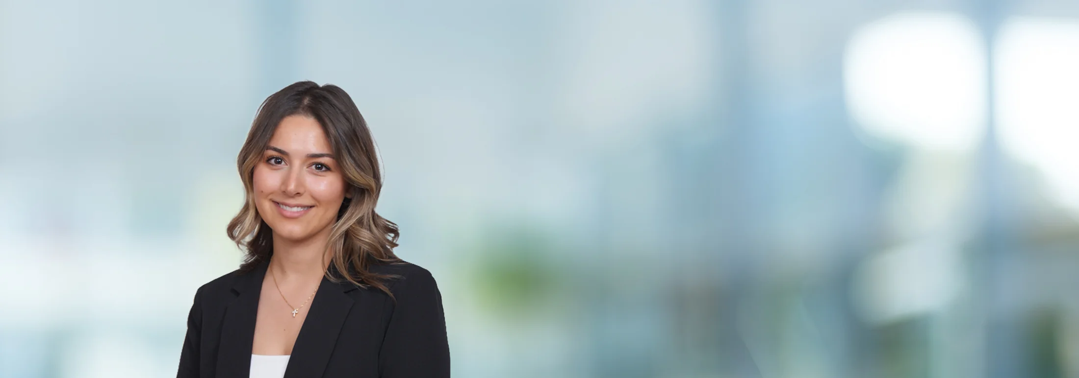 A photo of attorney, Dena Amini, against a softly blurred office background.